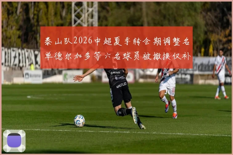 泰山队2026中超夏季转会期调整名单德尔加多等六名球员被撤换仅补报郝富博