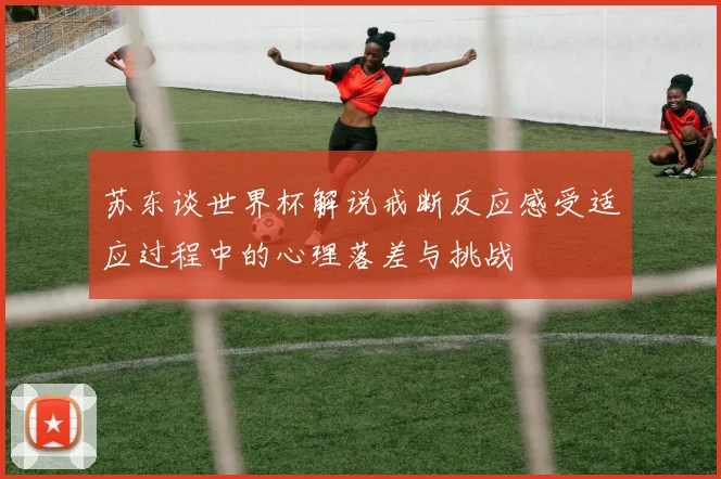 苏东谈世界杯解说戒断反应感受适应过程中的心理落差与挑战
